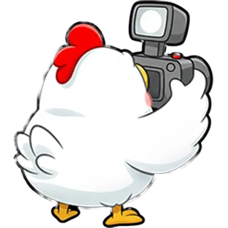 Poule camĂ©ra â Chicken Road Race