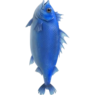 Blauer Fisch – Ice Fish
