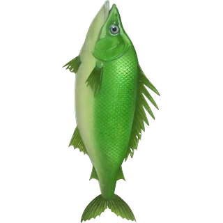 Grüner Fisch – Ice Fish